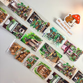 Afternoon Time PET Tape Afternoon Light PET Tape – Vintage Garden Café Scene for Journaling