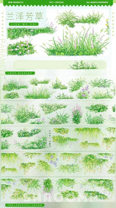Meadow Grass PET Tape Meadow Grass PET Tape | Wildflower & Greenery Scenery Sticker