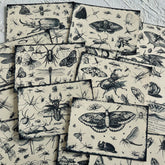 Vintage Butterfly Insect Forest Junk Journal Paper - 16 Sheets Black & White Background Paper for Scrapbooking