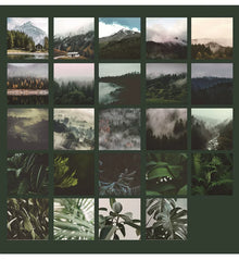 Green Forest Nature Landscape Stickers - Woodland Scenery | Waterproof Journal DIY Decoration Pack