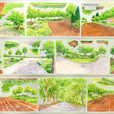 Shaded Campus PET Tape Shaded Campus Tape – Schoolyard Decorative Tape with Trees, Playground & Green Scenery