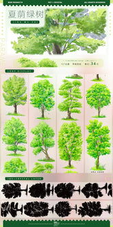 Summer Green Trees PET Tape Summer Green Trees Washi Tape – Decorative Tree Tape for Journaling, Scrapbooking & DIY