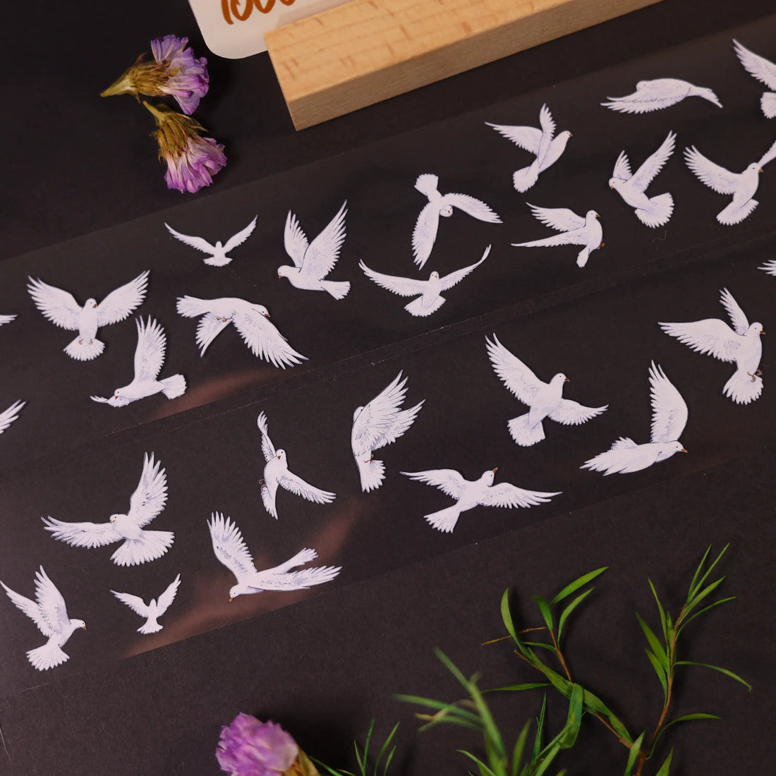 White Doves — PET Tape | Birds in Flight