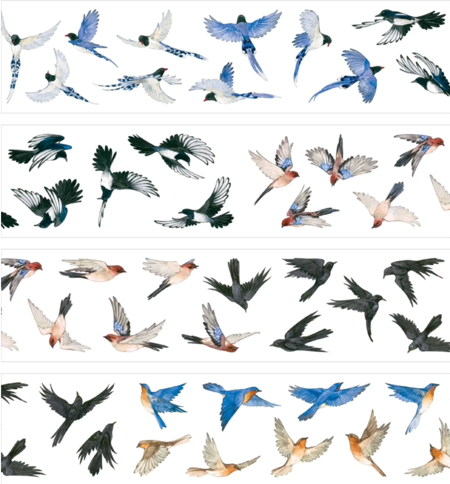Flying songbird PET tape preview with bluebirds, swallows, sparrows, and black birds