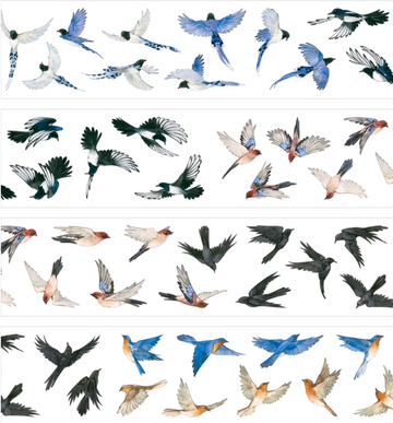 Flying songbird PET tape preview with bluebirds, swallows, sparrows, and black birds