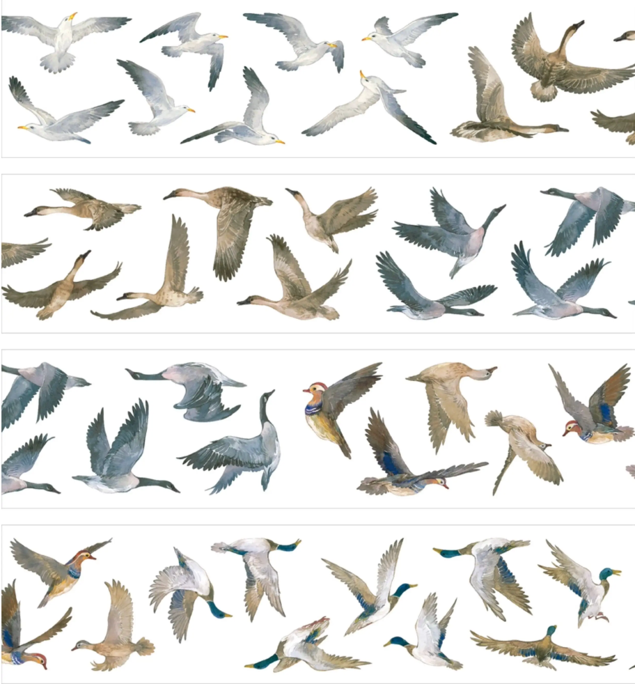 Owls, cranes, and wild birds PET tape product preview