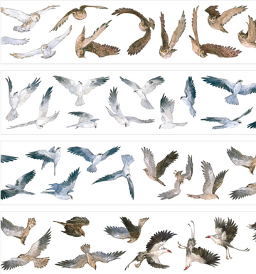 Wild birds PET tape preview with owls, cranes, herons, doves, and flying birds