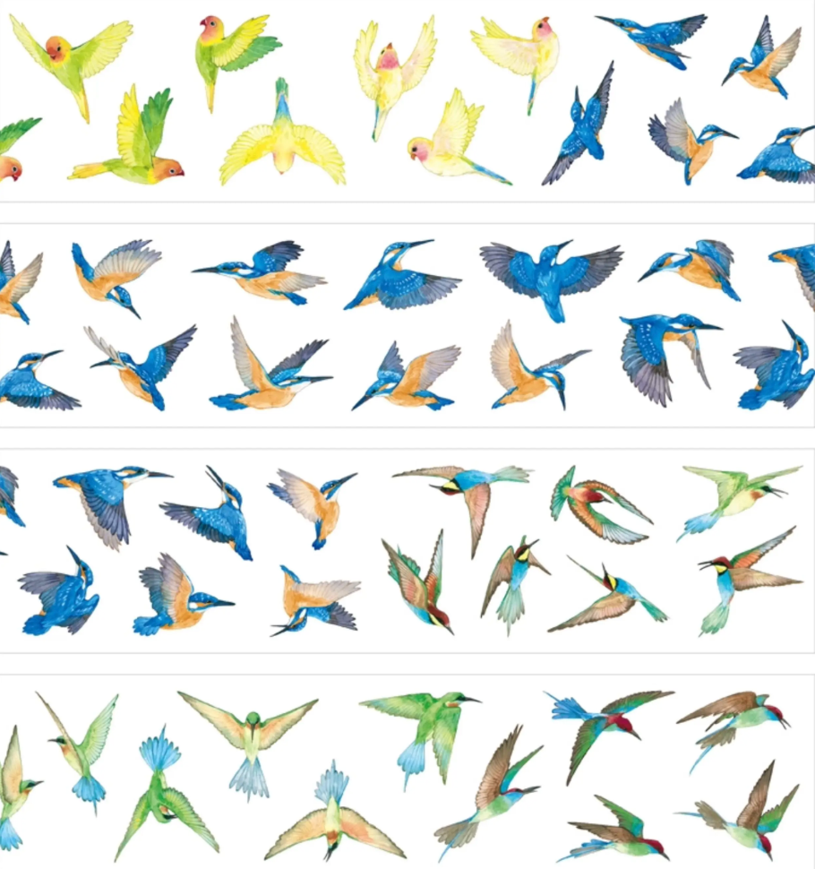 Colorful tropical birds PET tape product preview