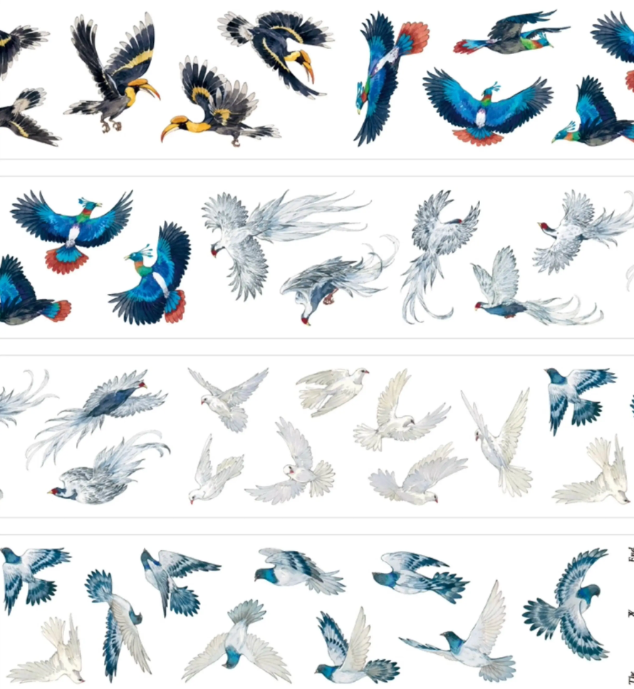 Tropical birds PET tape preview with hornbills, parrots, blue birds, and doves