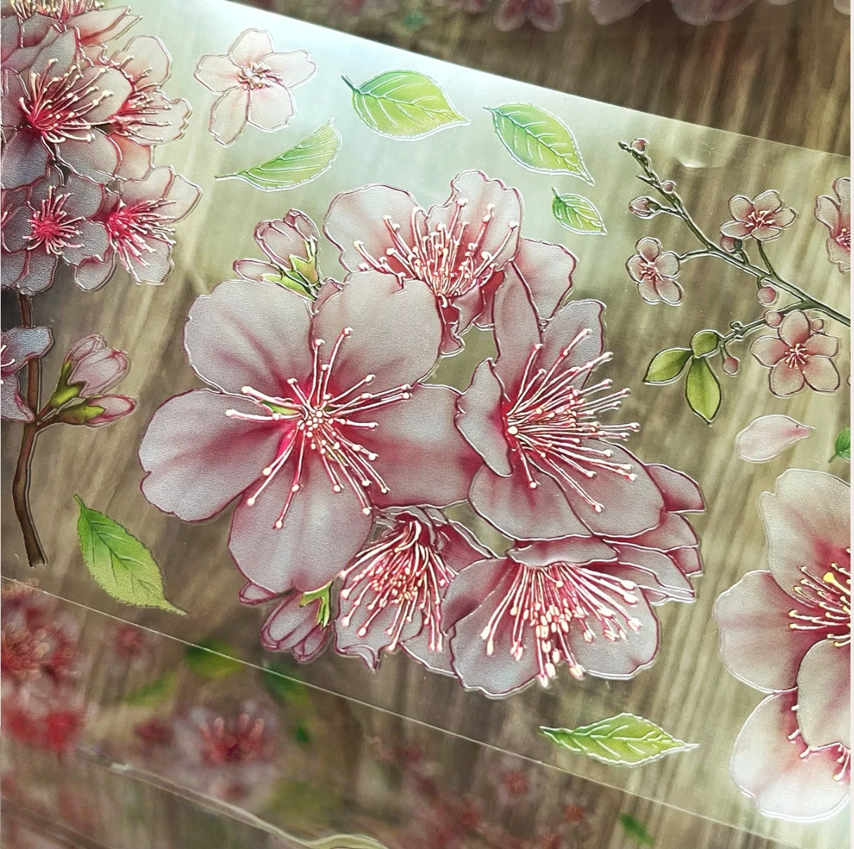 Pink cherry blossoms and drifting petals on PET tape