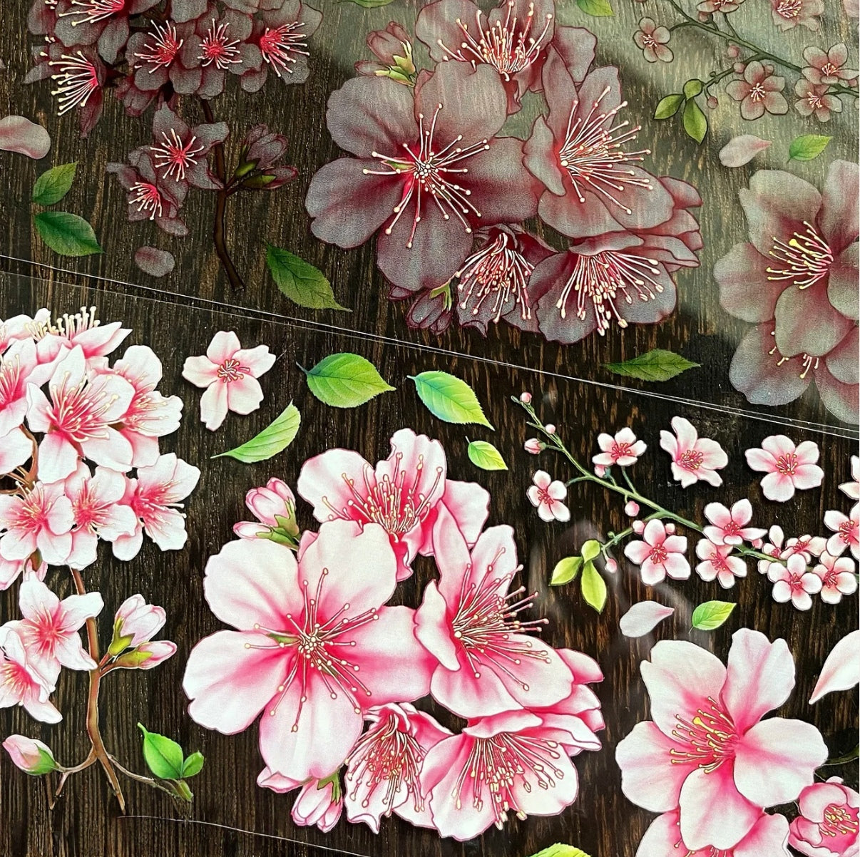 Pink cherry blossoms and drifting petals on PET tape