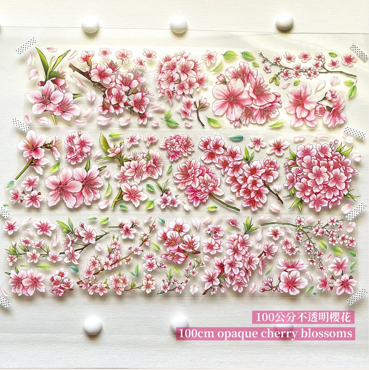 Pink cherry blossoms and drifting petals on PET tape