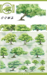 Dense Canopy PET Tape