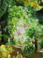 Greenlight Street PET Tape Greenlight Street PET Tape | Urban Botanical Scenery Sticker