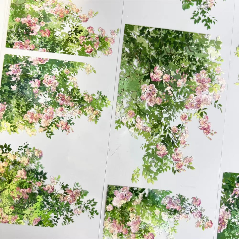 Swaying Roses PET Tape 7cm×1m | Cascading Pink Rose Garden Scenery