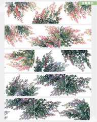 Night Breeze Green Whisper PET Tape