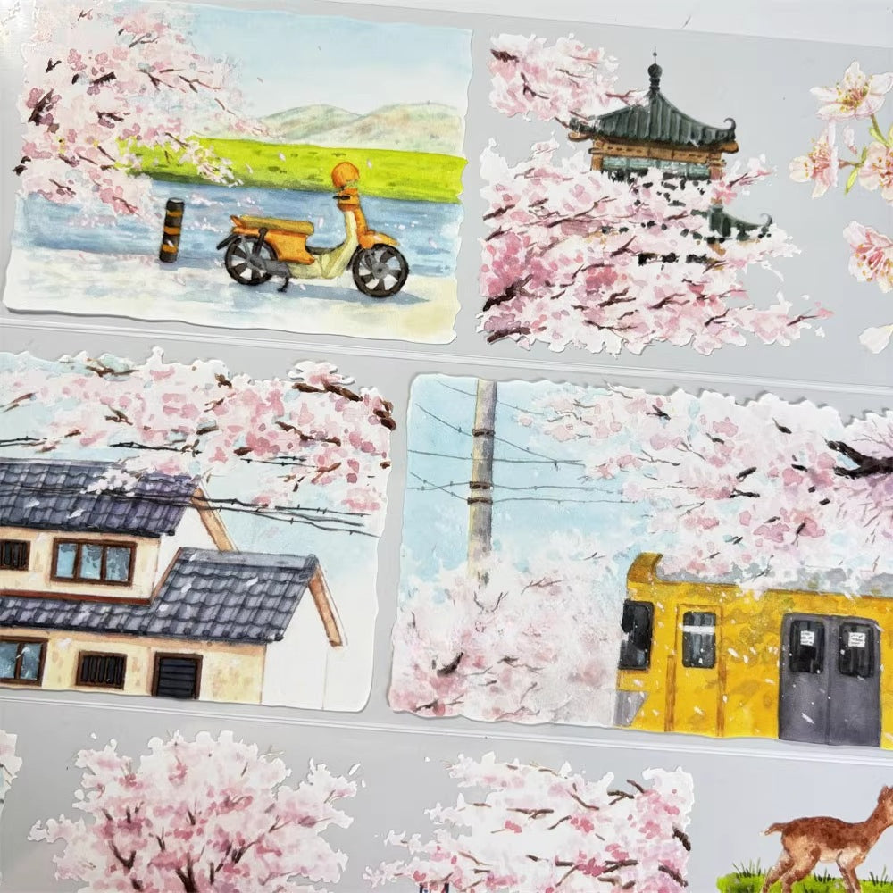 Sakura Blossom Town PET Klebeband 8cm×1m | Japanische Straßenszene