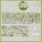 Pavement Collection Vol.1 - 5 Styles