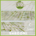 Pavement Collection Vol.1 - 5 Styles