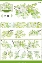 Black Locust PET Tape
