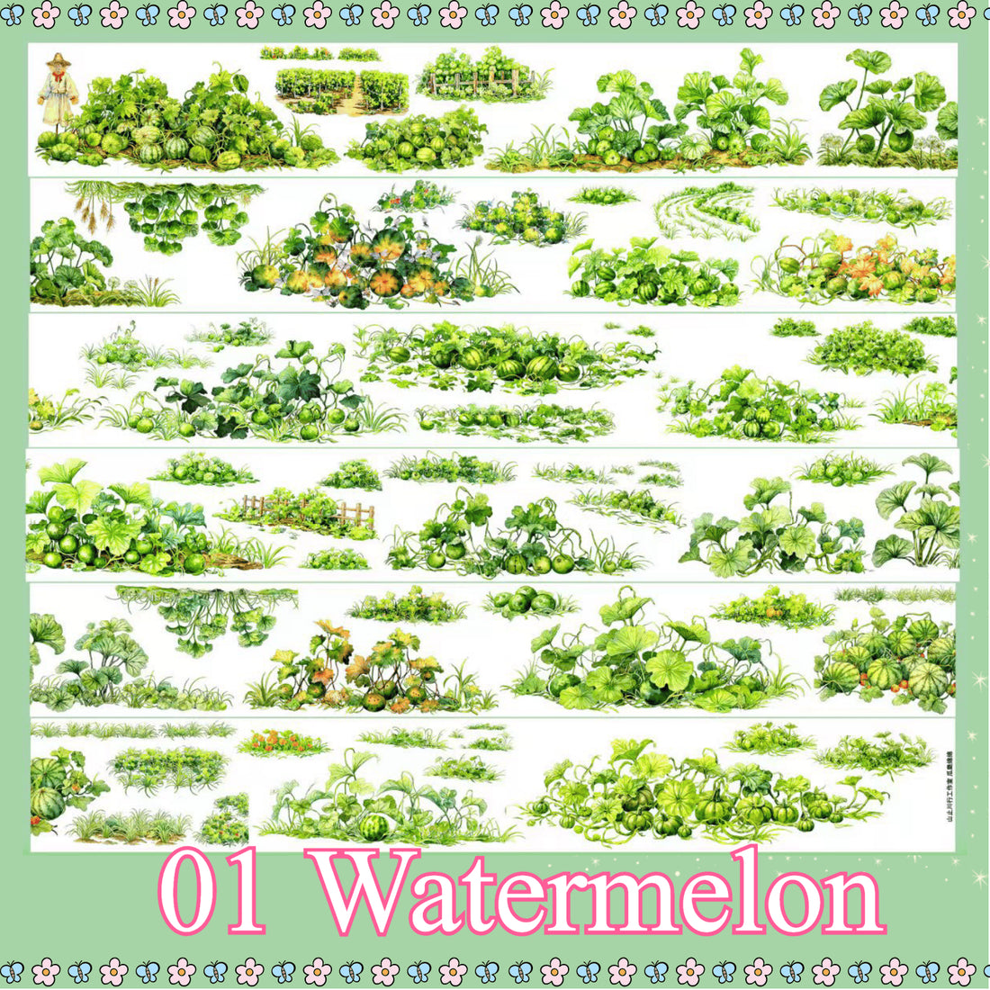 Watermelon PET tape design