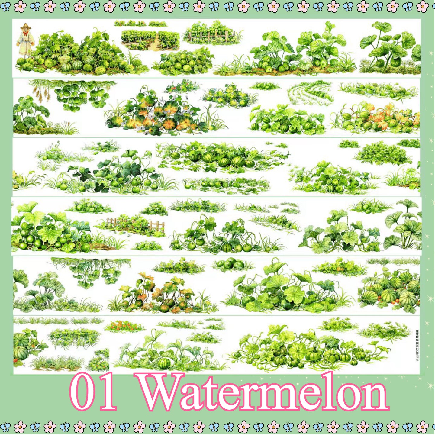 Watermelon PET tape design