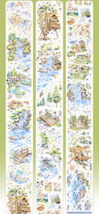 Forest Melody PET Tape
