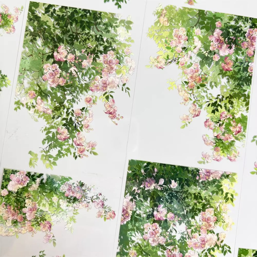 Swaying Roses PETテープ 7cm×1m | 滝のように流れるピンクのバラ園の風景