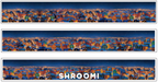 Snowy Night City Background PET Tape