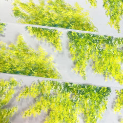 Trees with Leaves 5 PET Tape