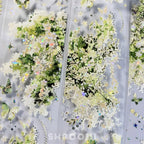 Enchanted Bloom PET Tape - Shroomi