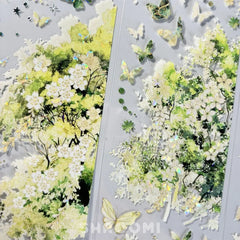 Enchanted Bloom PET Tape Enchanted Bloom Shell Gloss PET Tape | Floral & Botanical Sticker