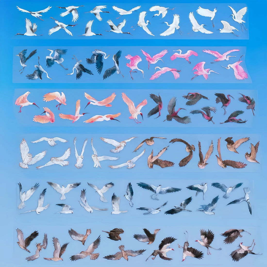 Wild birds PET tape preview with owls, cranes, herons, doves, and flying birds