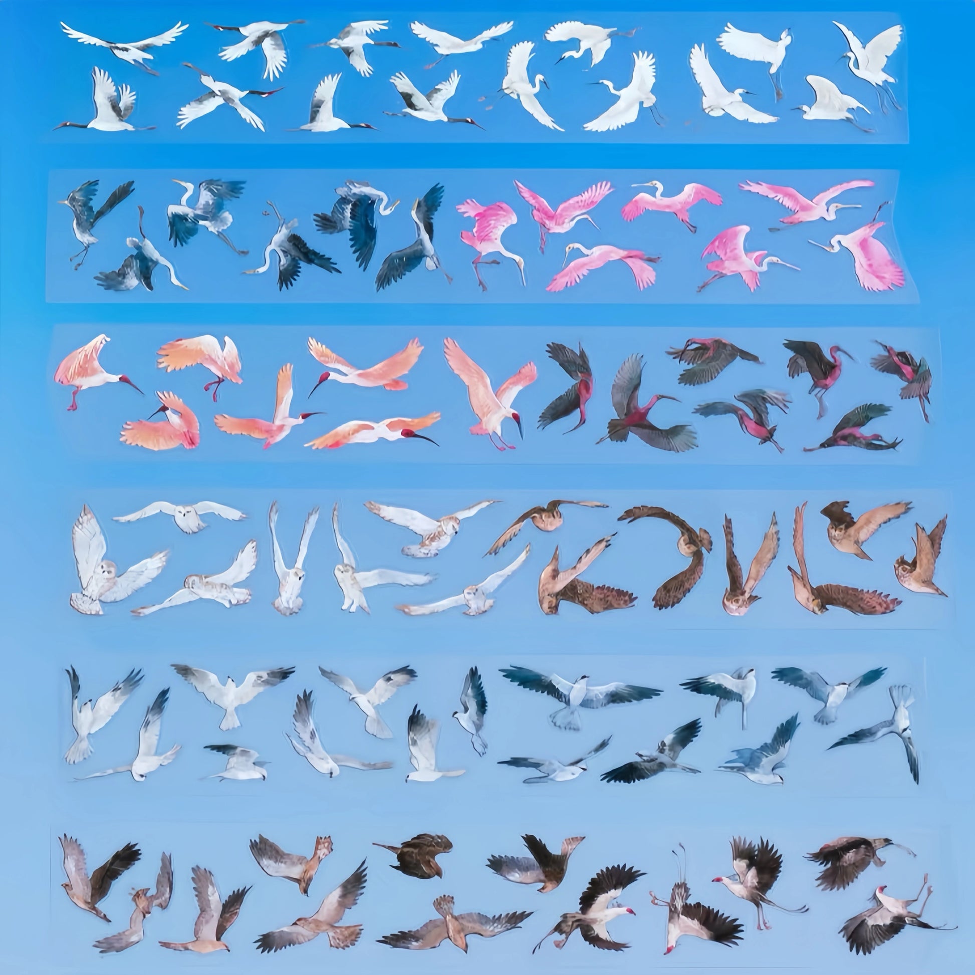 Transparent wild bird PET tape strips with cranes, owls, and herons on blue background