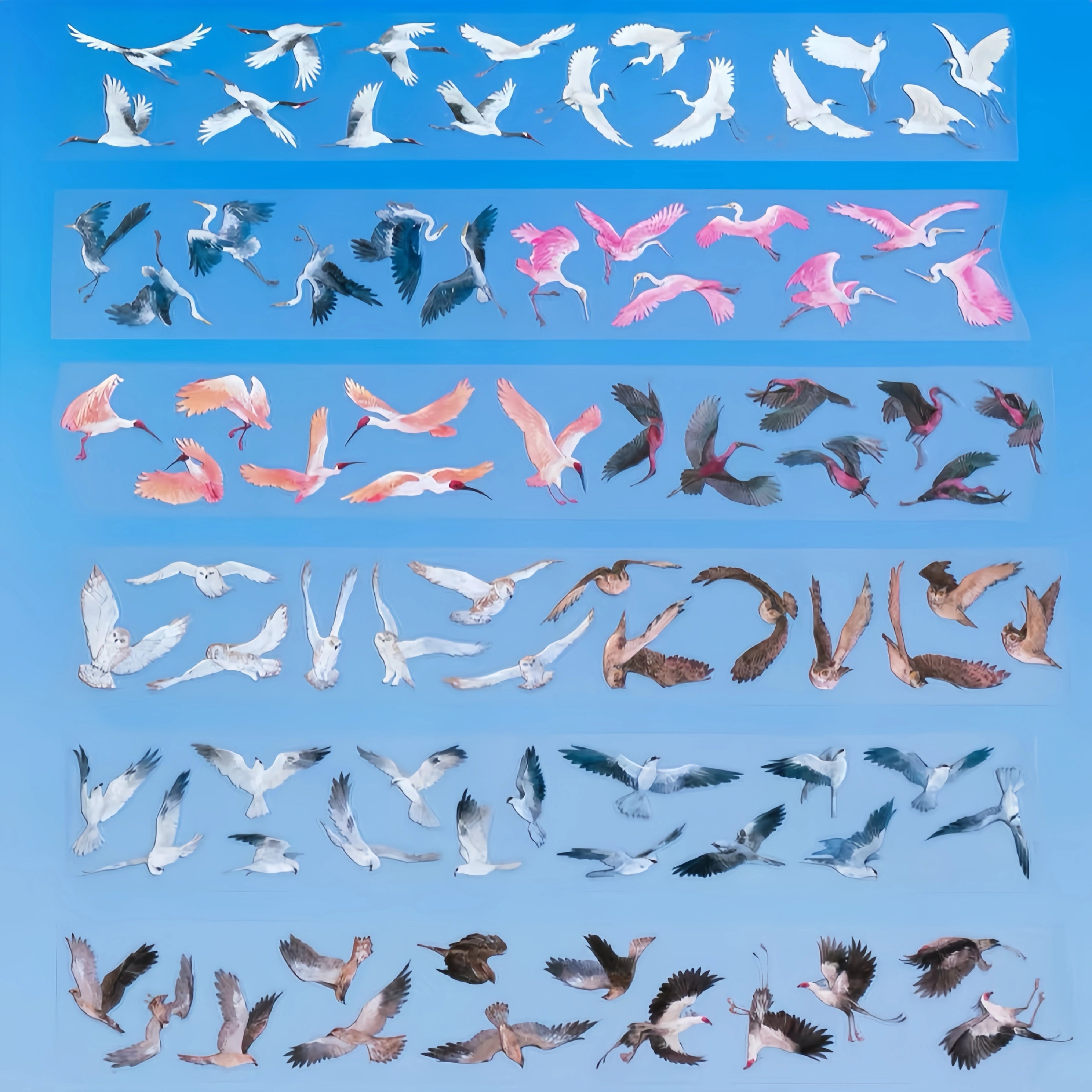 Transparent wild bird PET tape strips with cranes, owls, and herons on blue background