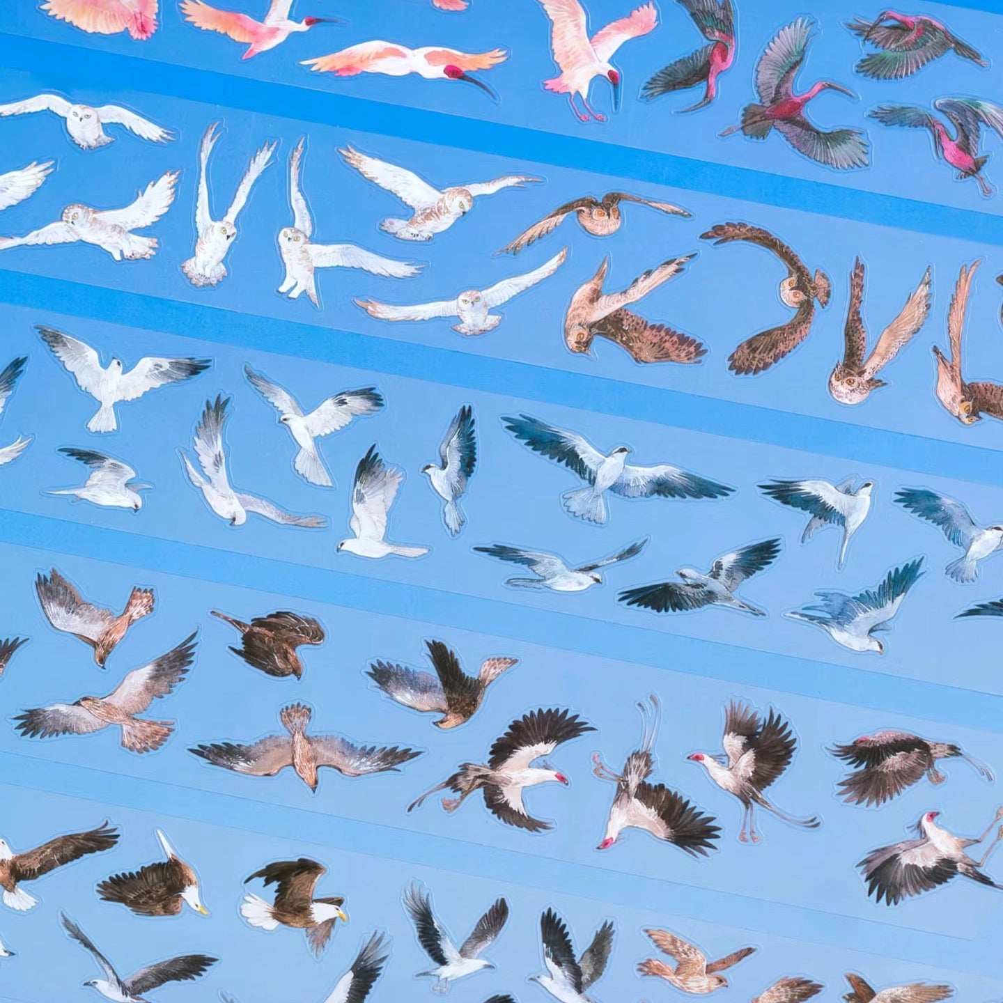 Wild birds PET tape sample with soaring doves, herons, and cranes