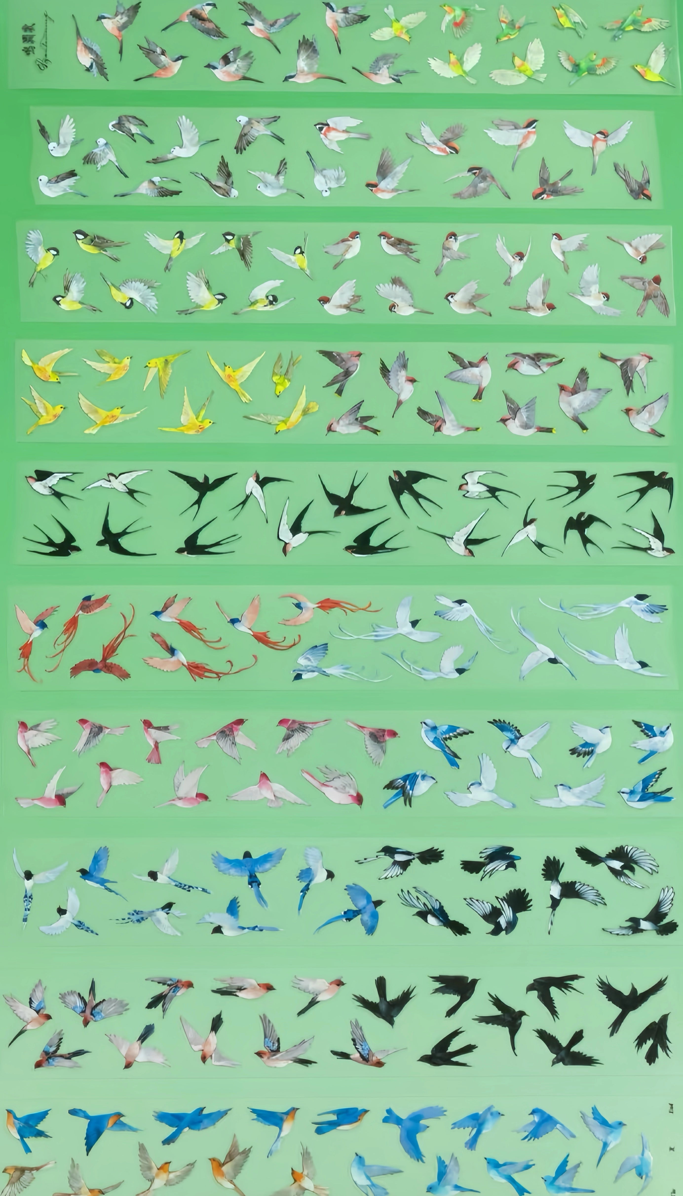 PET tape sample with layered flying songbirds
