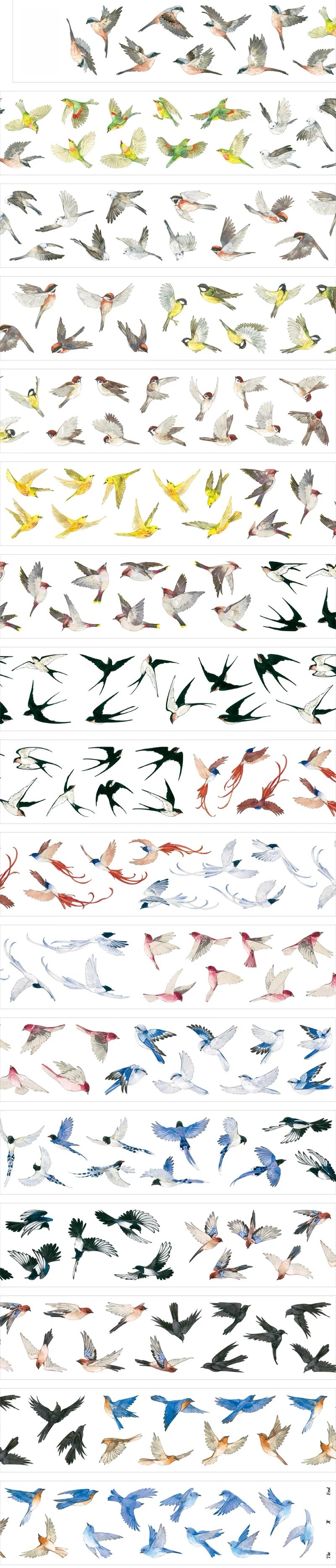 Transparent bird PET tape strips displayed on a green background