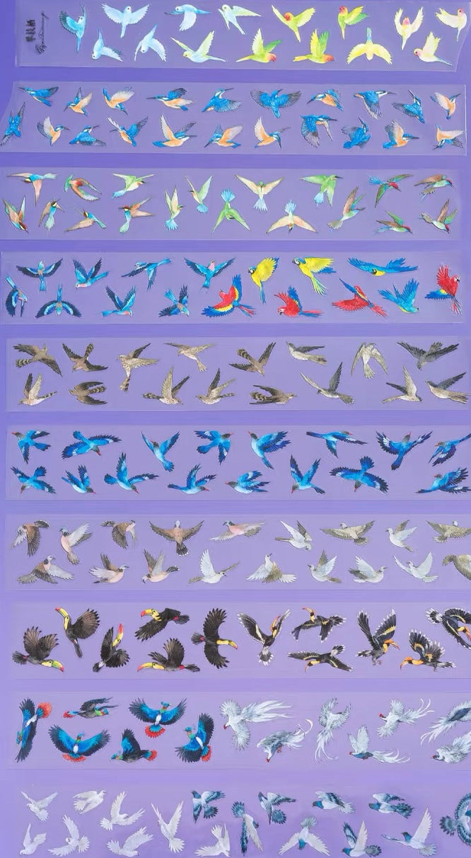 Close-up of tropical bird PET tape with blue and yellow birds
