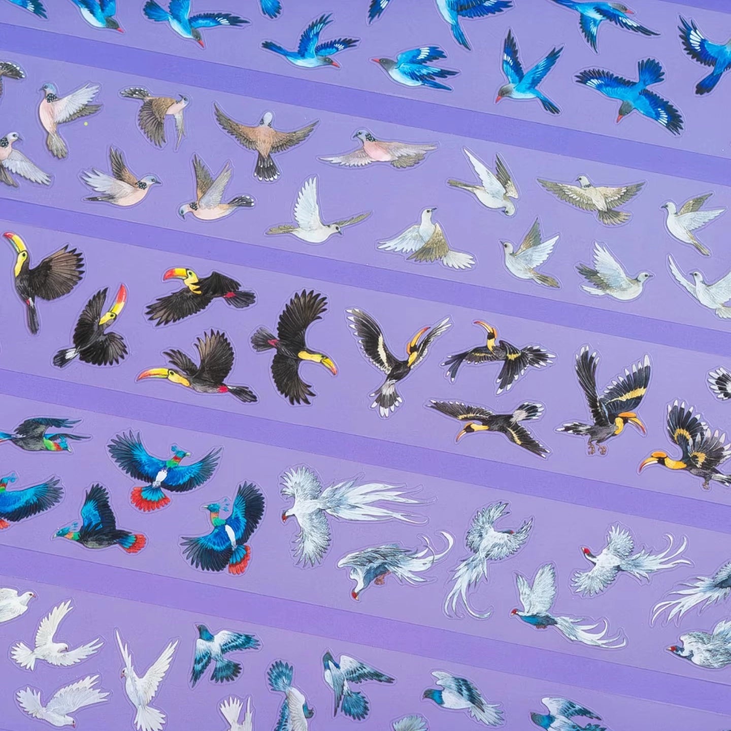Tropical birds PET tape sample with flying parrots and doves