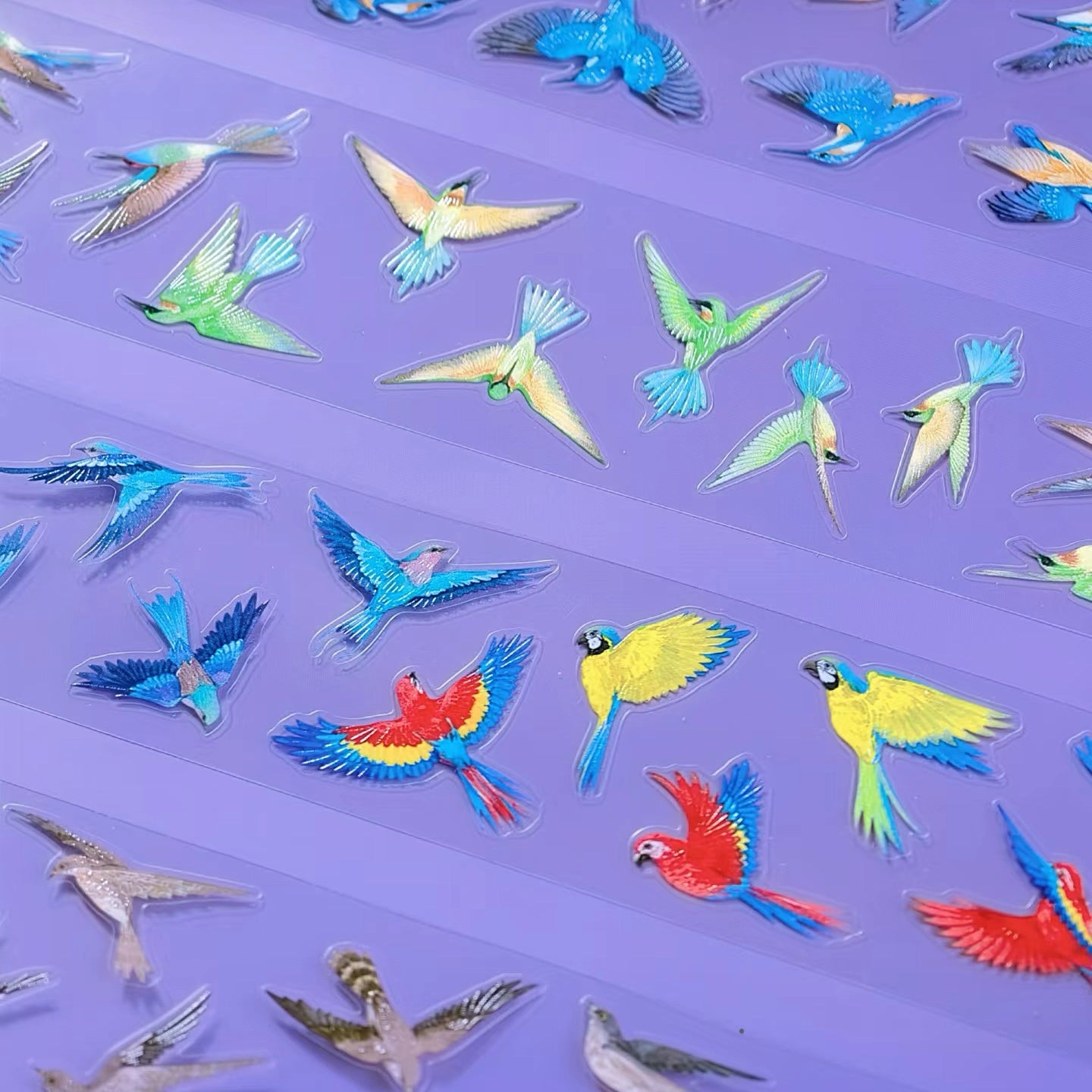 Close-up of tropical bird PET tape with colorful parrots and blue birds on purple background