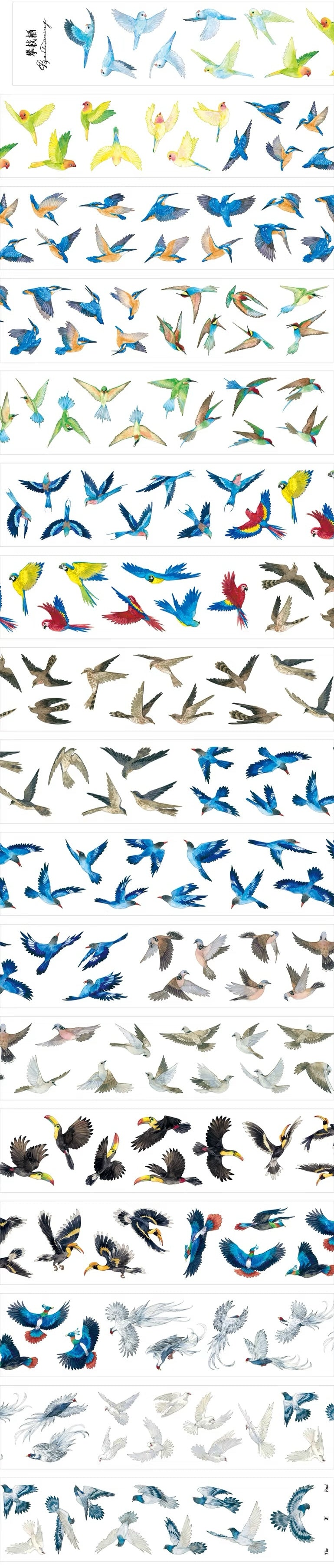 Tropical bird PET tape detail with bright parrots and white birds
