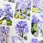 Jacaranda Lane PET Tape - Shroomi