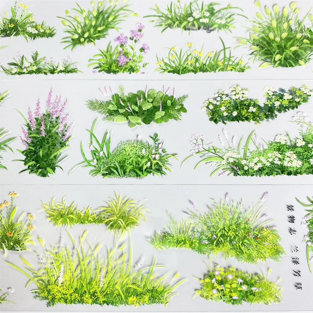 Meadow Grass PET Tape - Shroomi