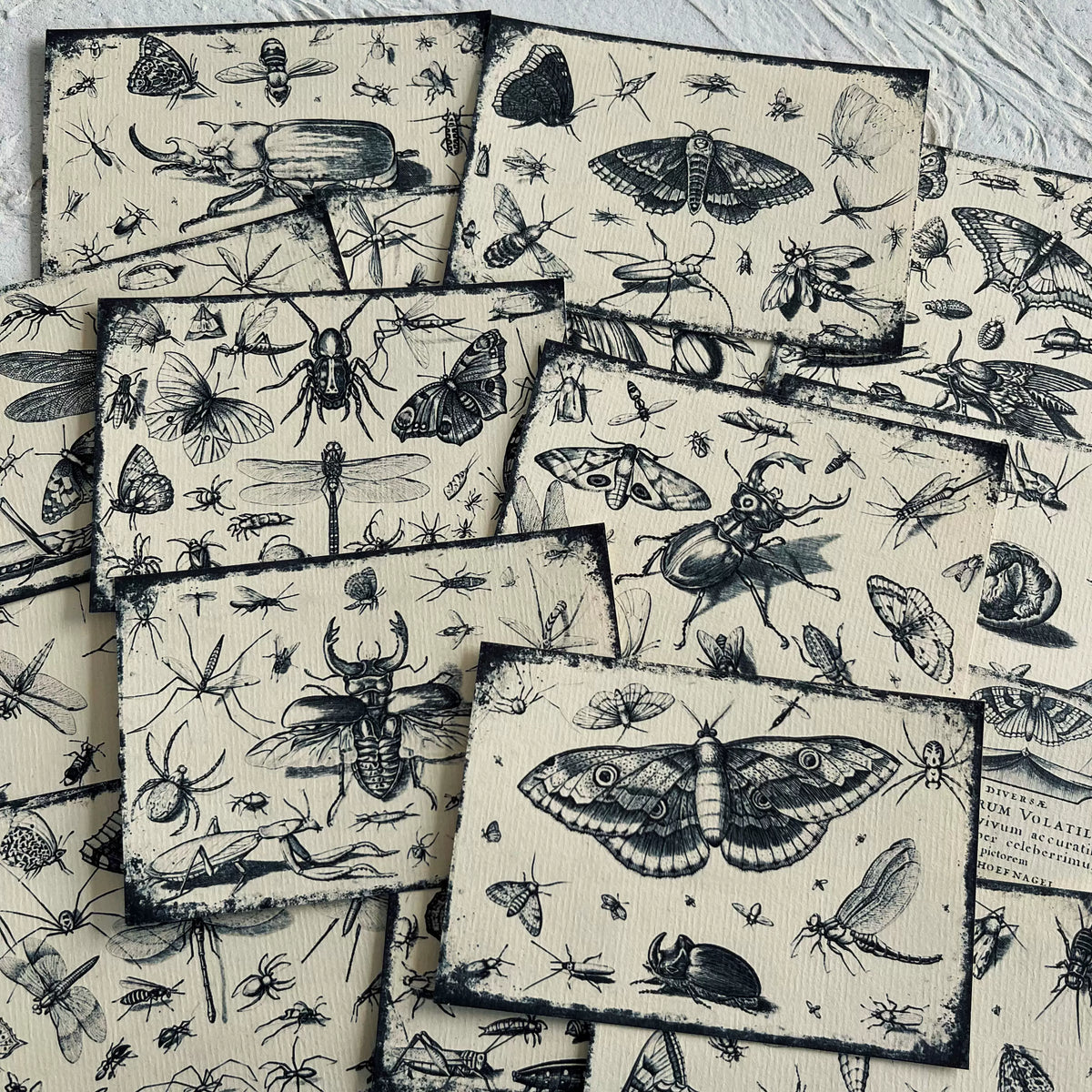 Vintage Butterfly Insect Forest Junk Journal Paper - 16 Sheets Black & White Background Paper for Scrapbooking