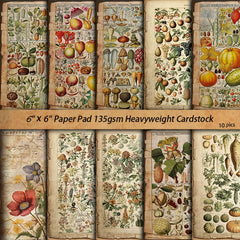 Vintage Botanical Book Pages Paper Pad - 10 Sheets 5.5" x 7" Aged Plant Scrapbook Decorative Paper