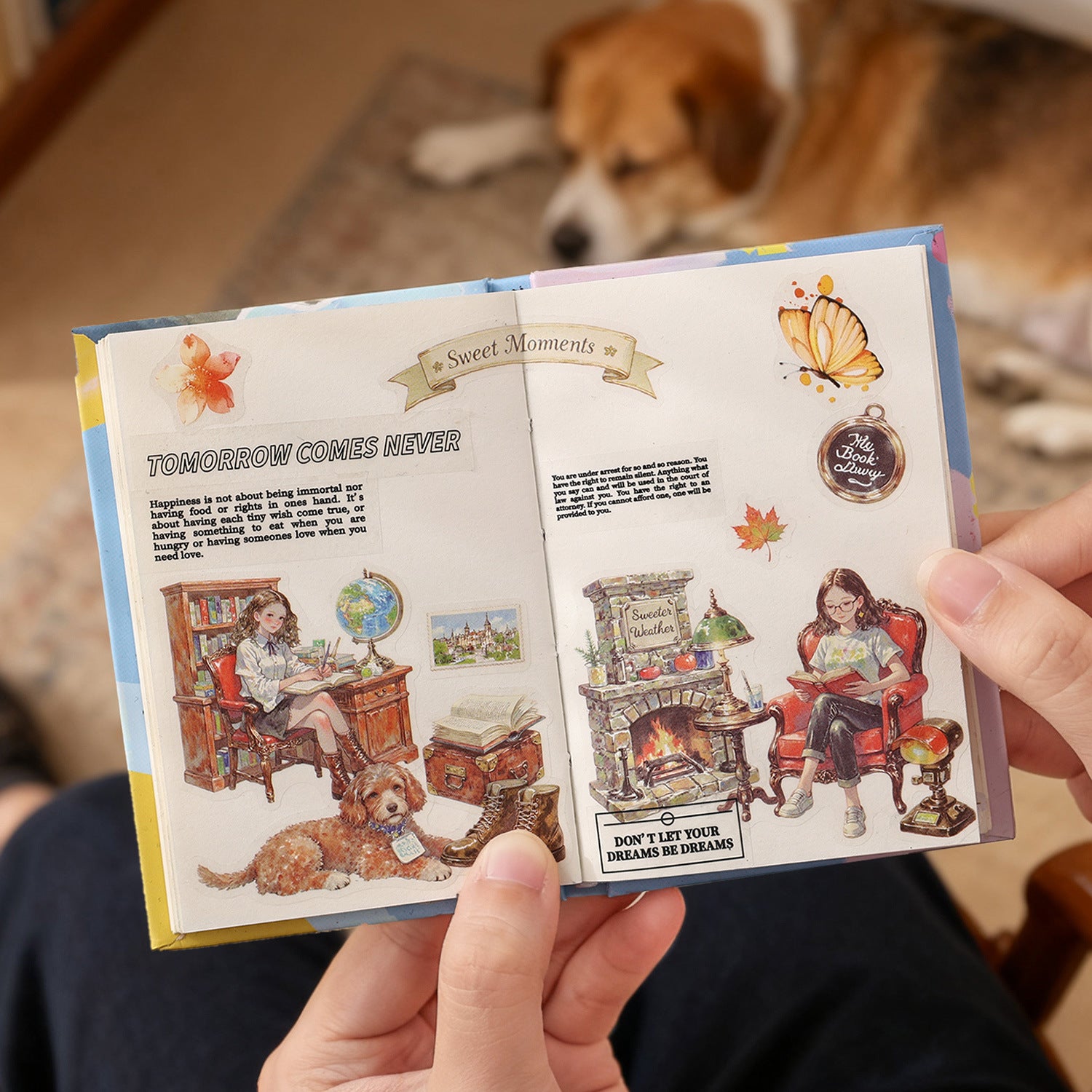 Storybook adventures sticker pack – illustrated character scenes in seasonal settings