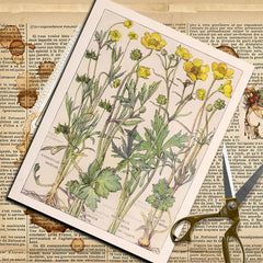 British Wildflower Botanical Junk Journal Paper - 20 Pieces Vintage Plant Background Paper for Scrapbooking