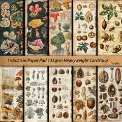 Vintage Botanical World Junk Journal Paper - 10 Pieces Dried Tree Nut Pattern Background Stickers for Scrapbooking