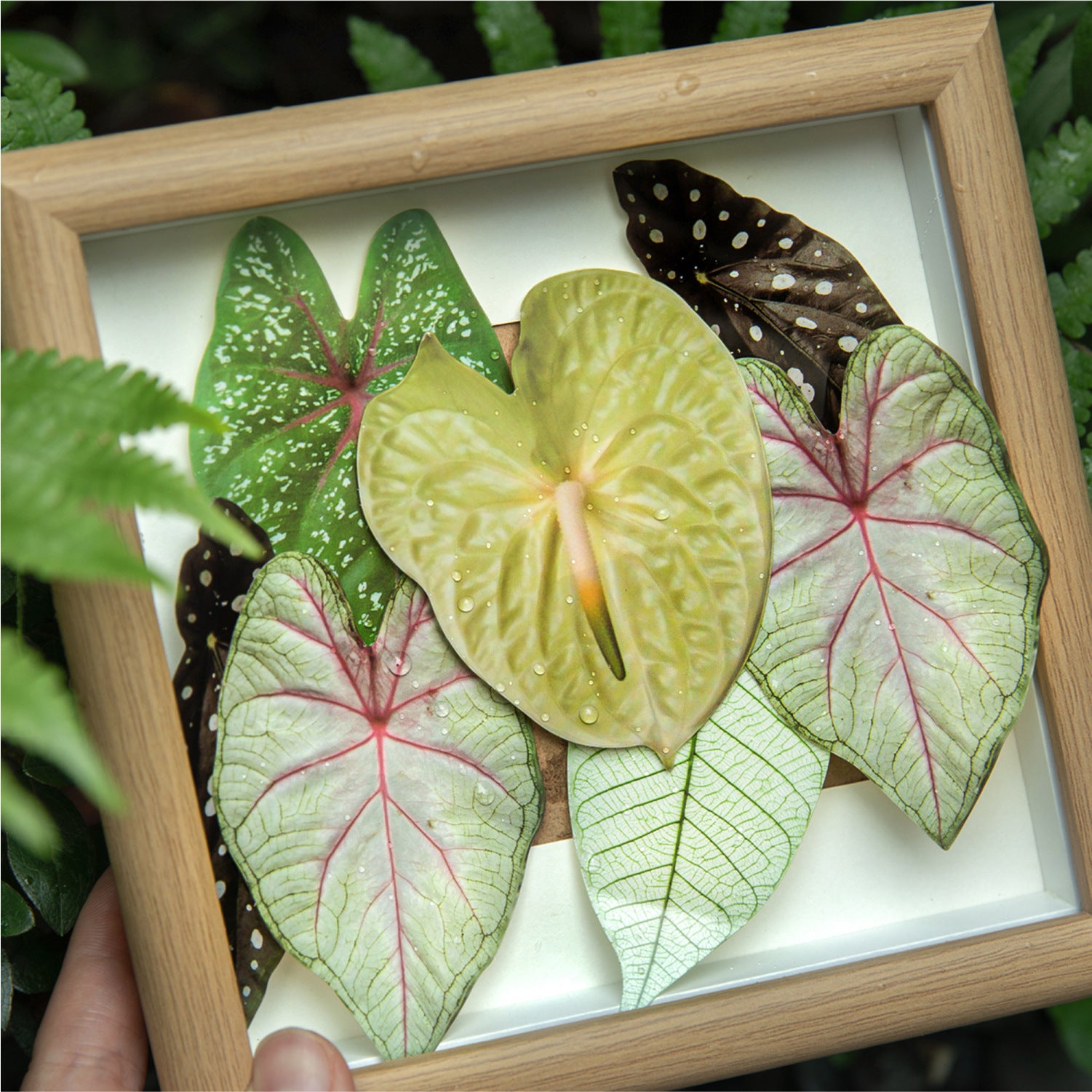 Botanical leaf bookmark cards with illustrated plant designs